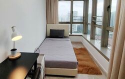 The Springs (D11), Apartment #581208481